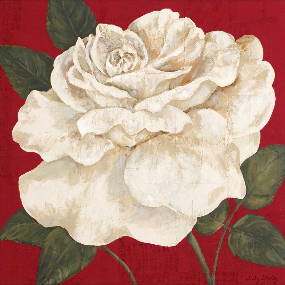 Rosa Blanca Grande II art print by Judy Shelby for $57.95 CAD