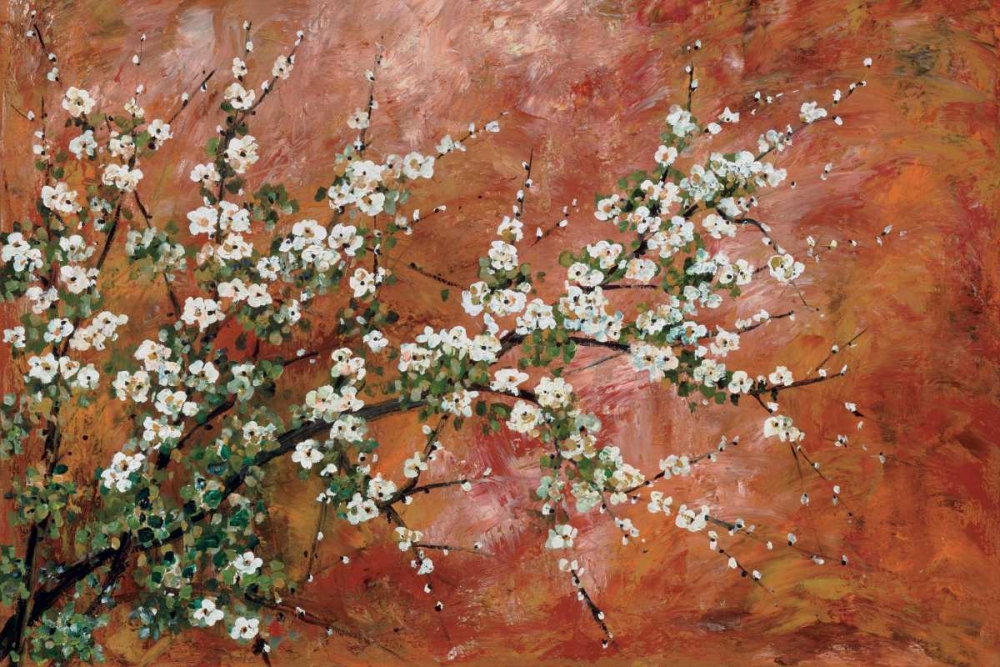 Wild Plum Blossoms art print by Zachary Alexander for $57.95 CAD