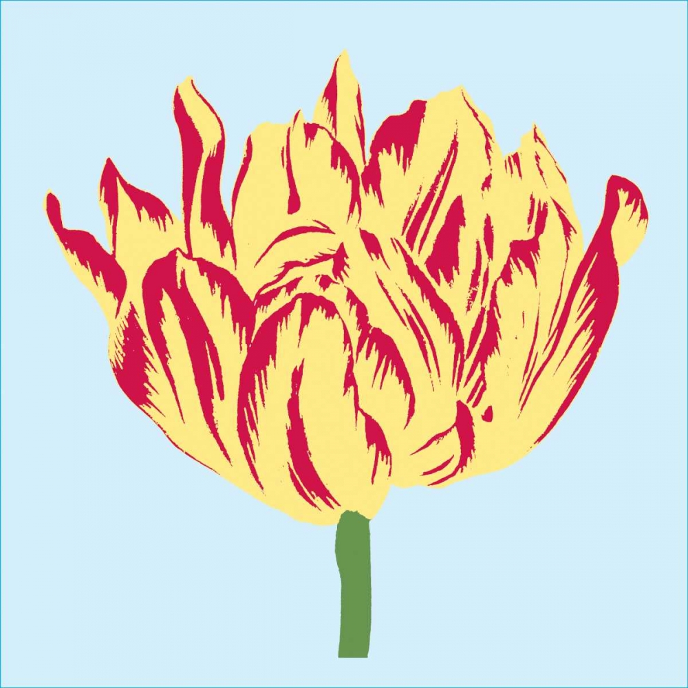 Soho Tulip II art print by Zachary Alexander for $57.95 CAD