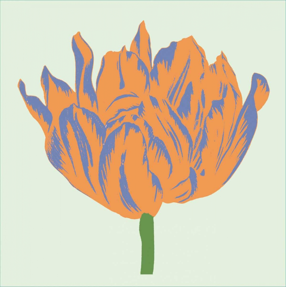 Soho Tulip III art print by Zachary Alexander for $57.95 CAD