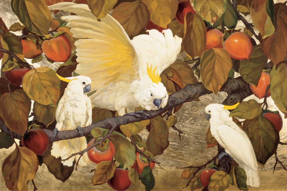 Persimmons and Cockatoos art print by Jesse Arms Botke for $57.95 CAD