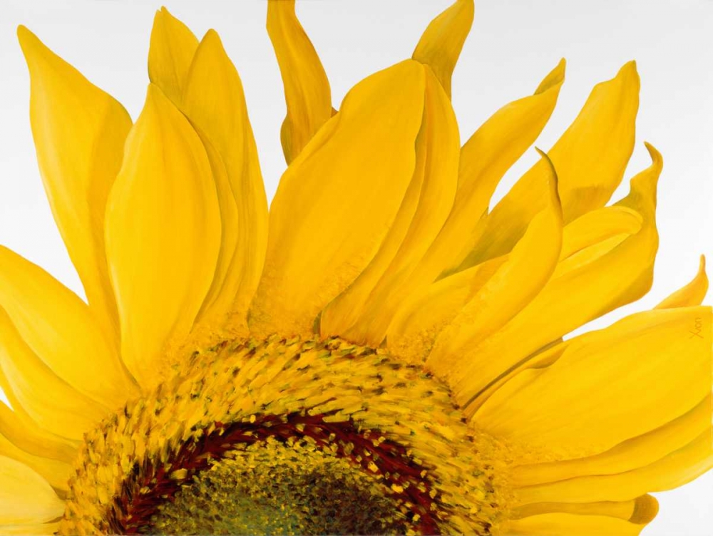 Sunflower I art print by Yvonne Poelstra-Holzhaus for $57.95 CAD