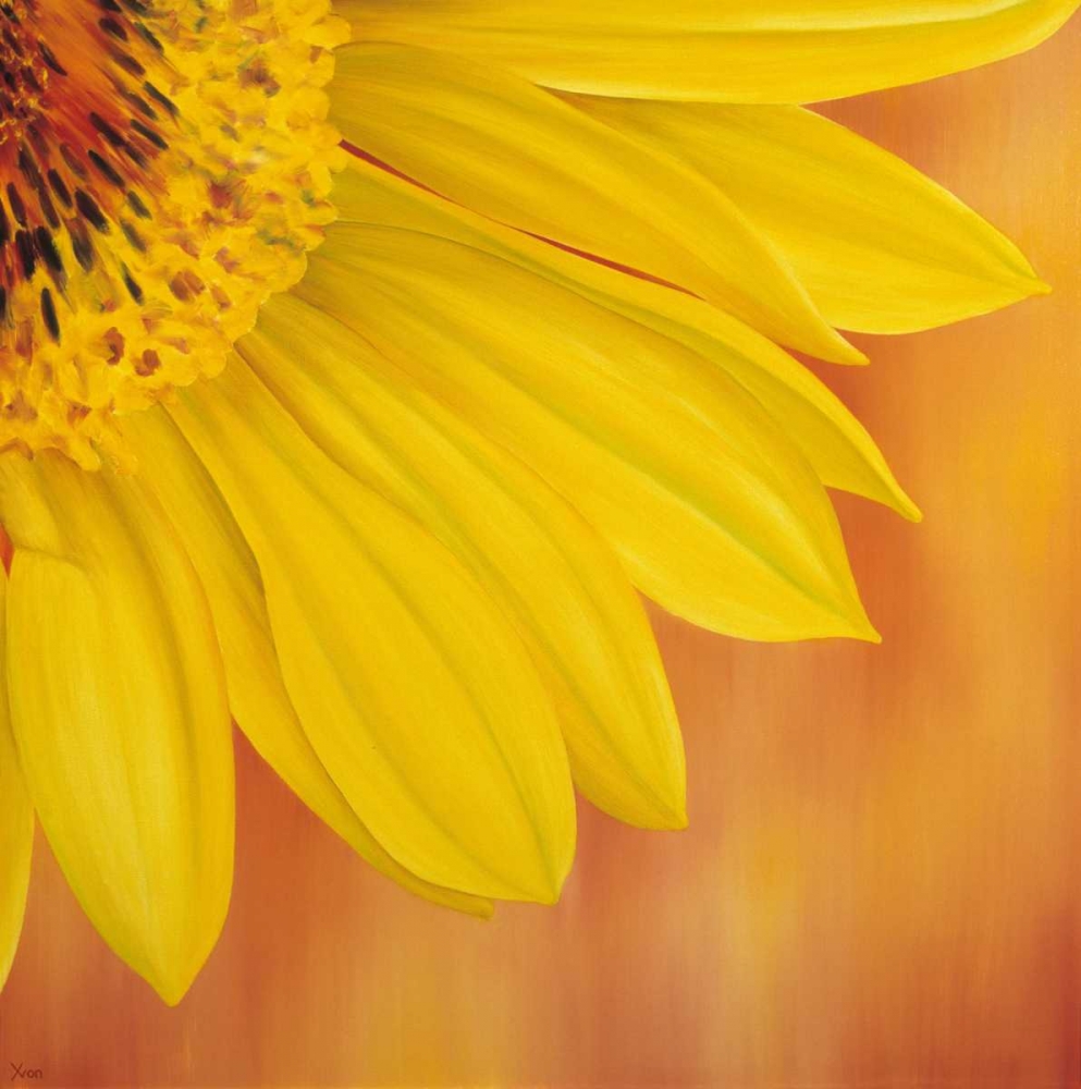 Sunflower II art print by Yvonne Poelstra-Holzhaus for $57.95 CAD