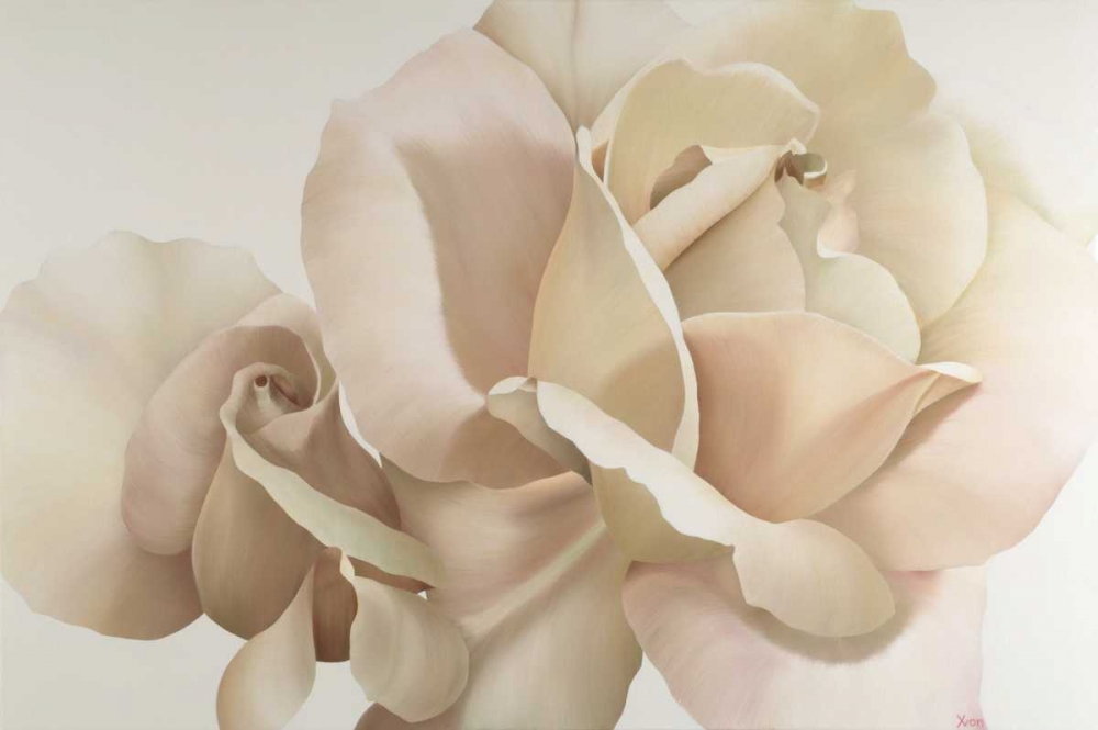 White Rose art print by Yvonne Poelstra-Holzhaus for $57.95 CAD