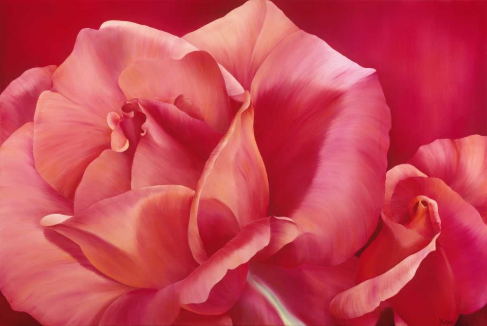 Pink Rose I art print by Yvonne Poelstra-Holzhaus for $57.95 CAD