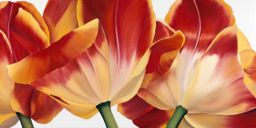 Fancy Flower III art print by Yvonne Poelstra-Holzhaus for $57.95 CAD