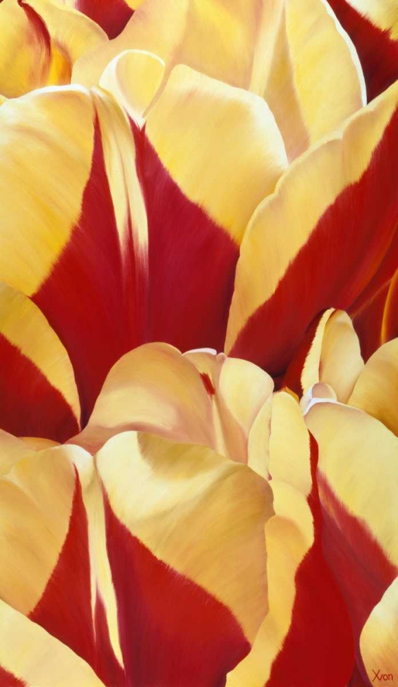 Arti Tulip II art print by Yvonne Poelstra-Holzhaus for $57.95 CAD