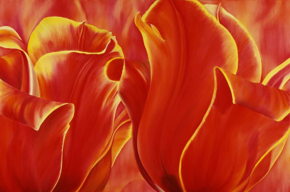 Party Tulip II art print by Yvonne Poelstra-Holzhaus for $57.95 CAD