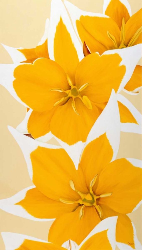 Yellow missy art print by Yvonne Poelstra-Holzhaus for $57.95 CAD