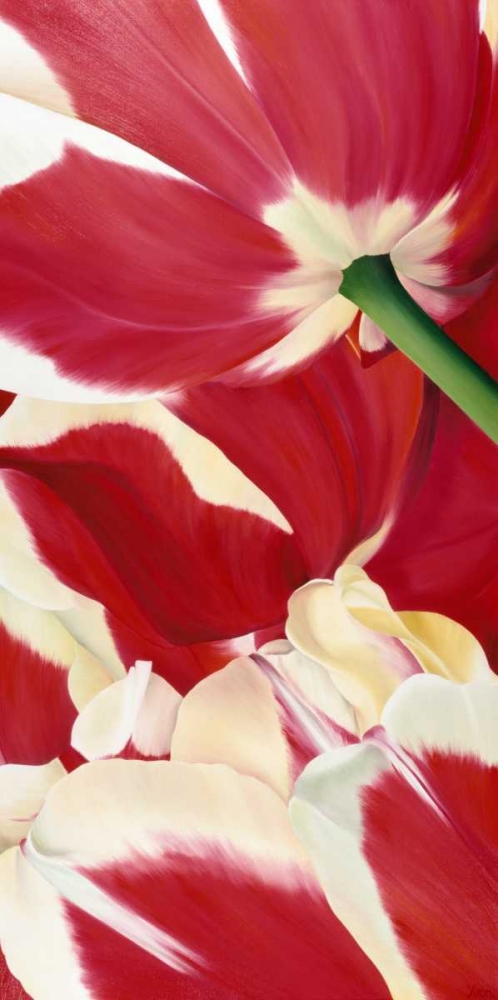Flower dream art print by Yvonne Poelstra-Holzhaus for $57.95 CAD