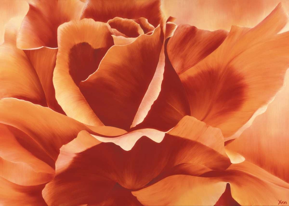Full in bloom II art print by Yvonne Poelstra-Holzhaus for $57.95 CAD