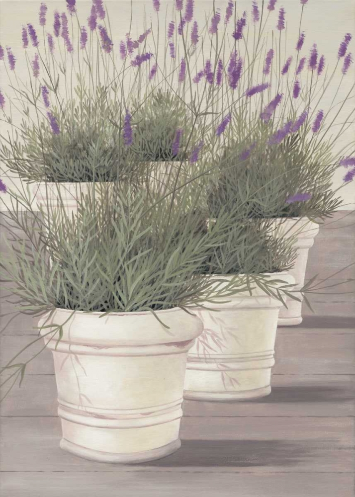 Lavender art print by Hans Paus for $57.95 CAD