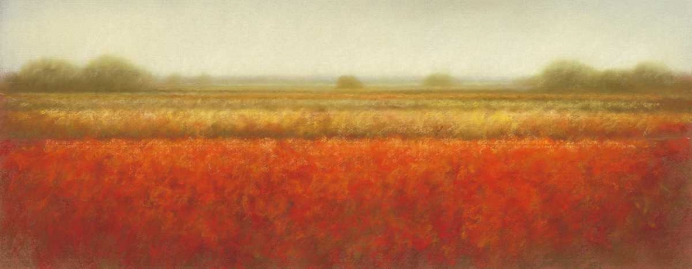 Field of poppies art print by Hans Dolieslager for $57.95 CAD