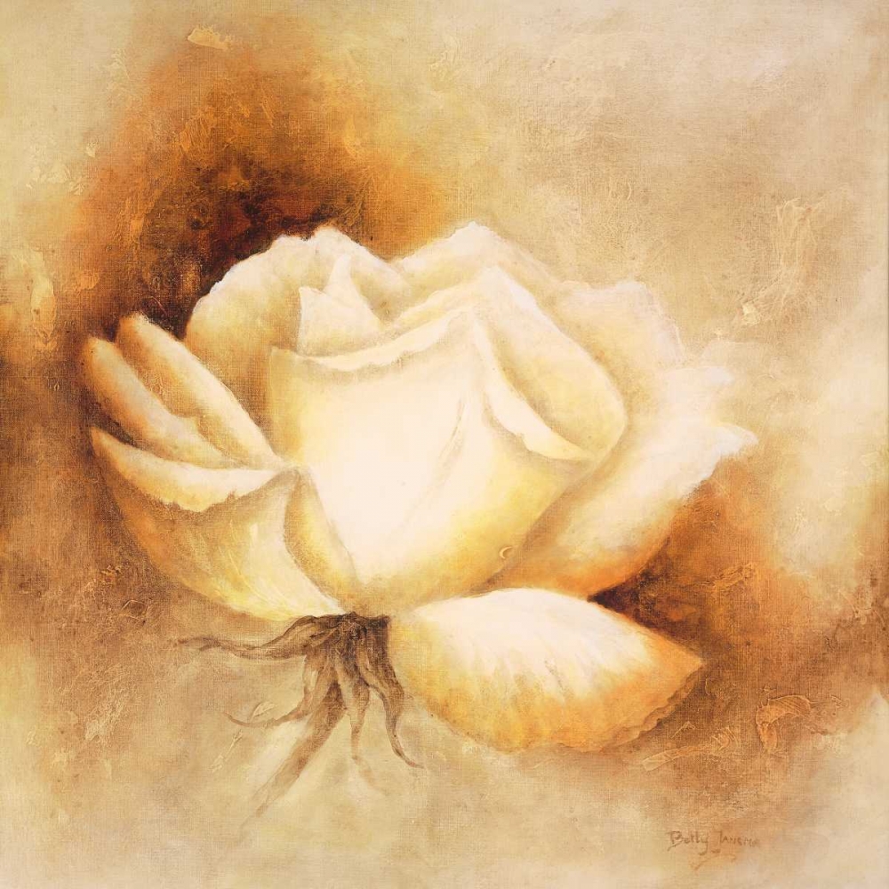 White rose I art print by Betty Jansma for $57.95 CAD