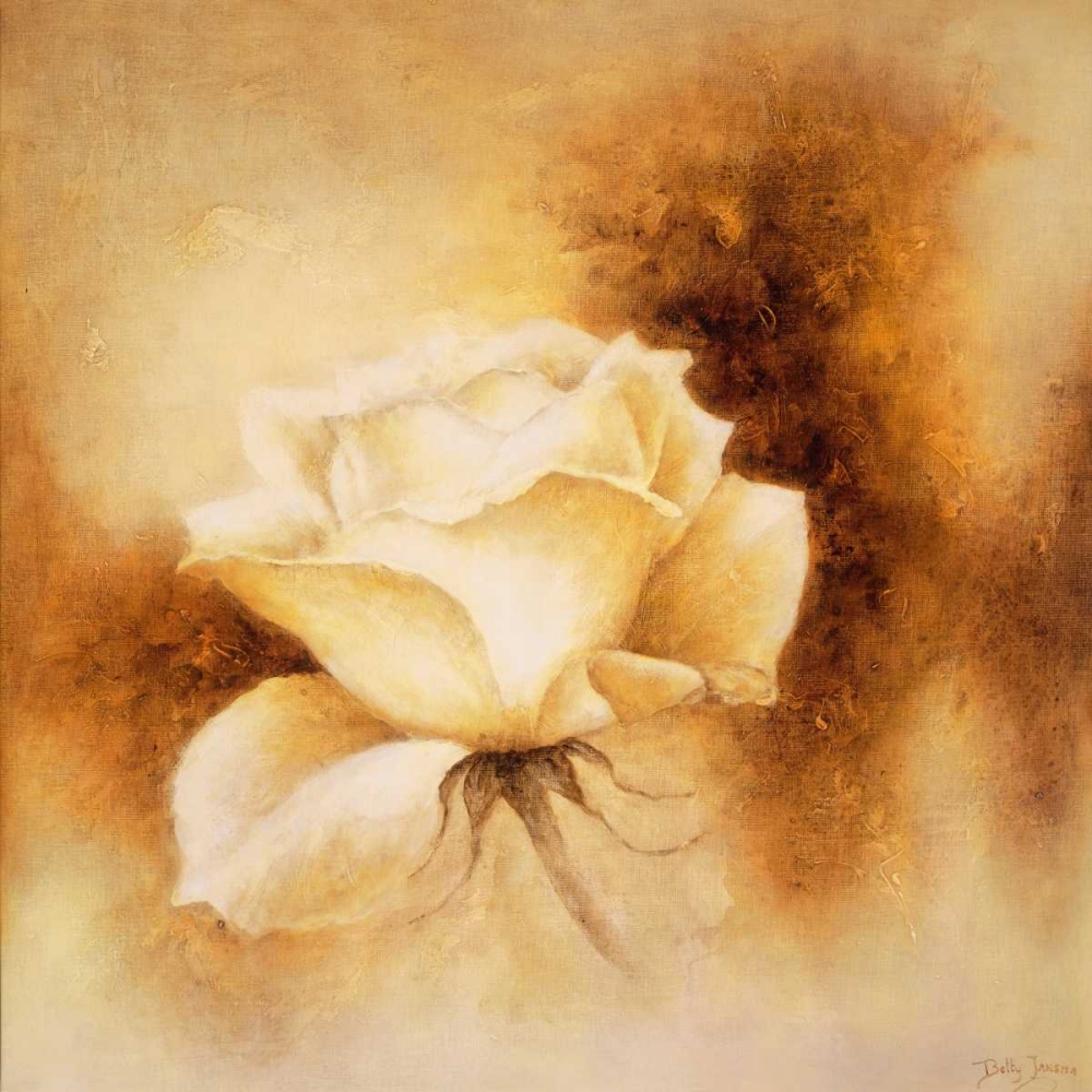 White Rose II art print by Betty Jansma for $57.95 CAD