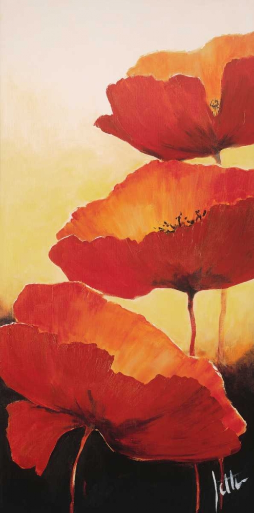 Three red popppies II art print by Jettie Roseboom for $57.95 CAD