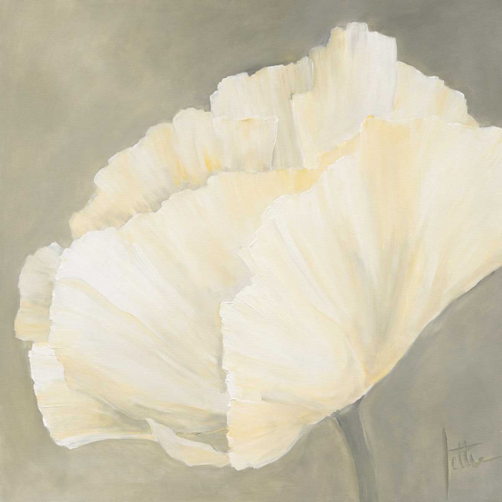 Poppy in white III art print by Jettie Roseboom for $57.95 CAD