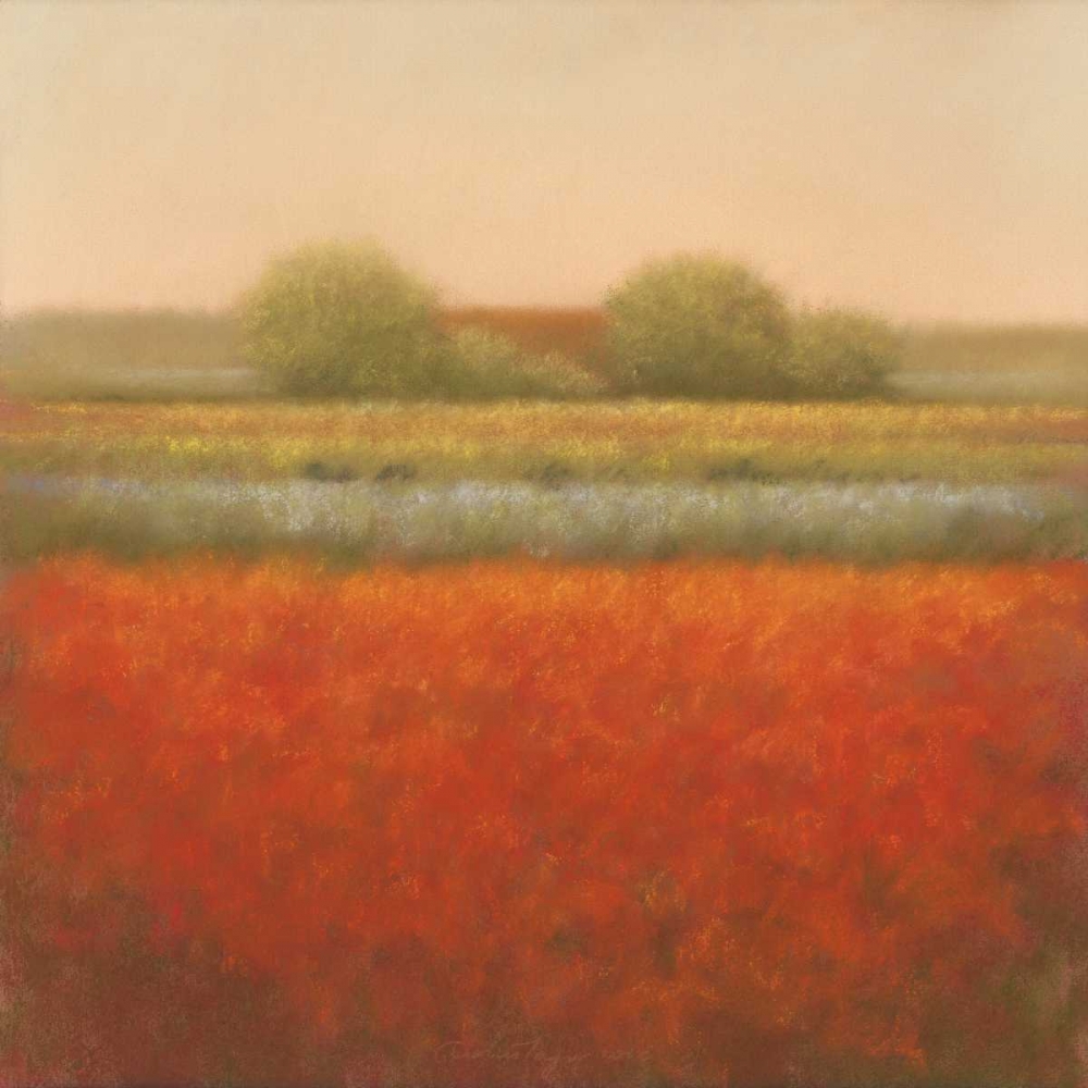 Red field art print by Hans Dolieslager for $57.95 CAD