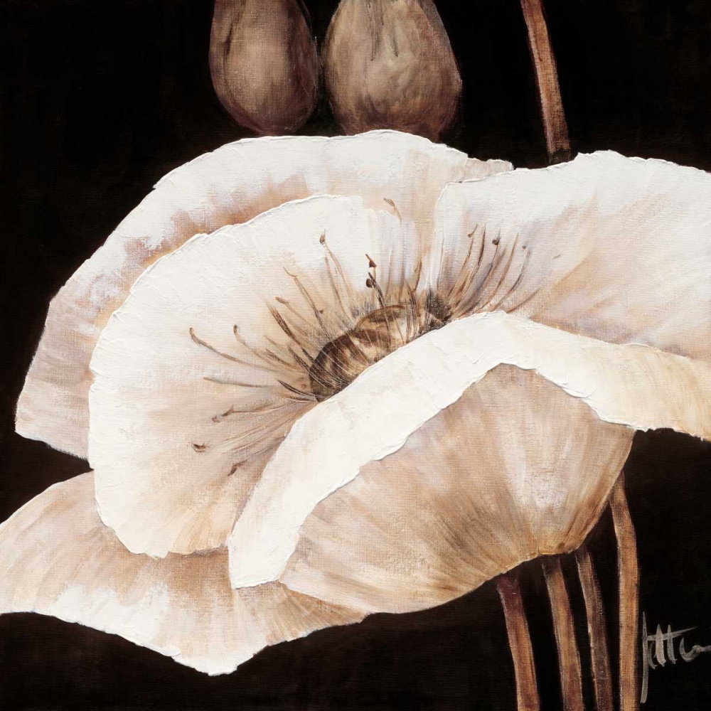 Amazing poppies I art print by Jettie Roseboom for $57.95 CAD