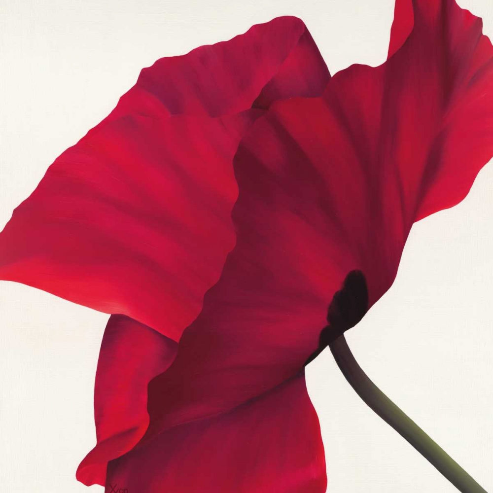 Papaver II art print by Yvonne Poelstra-Holzhaus for $57.95 CAD