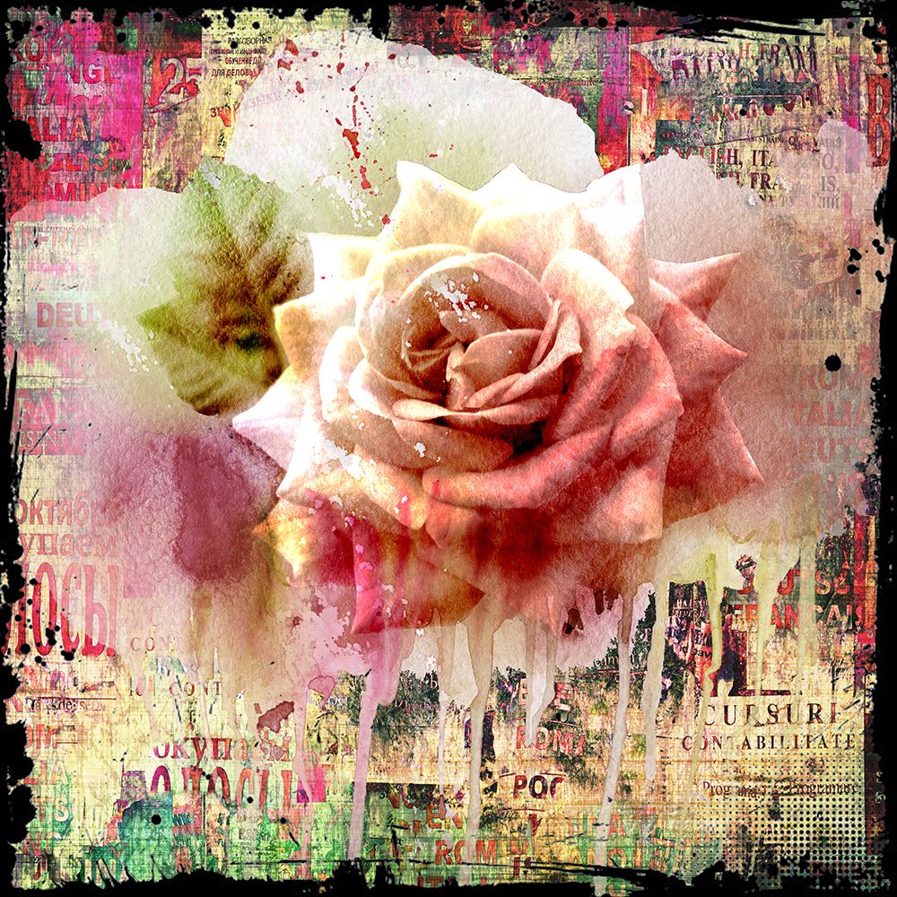Pink rosa art print by Micha Baker for $57.95 CAD