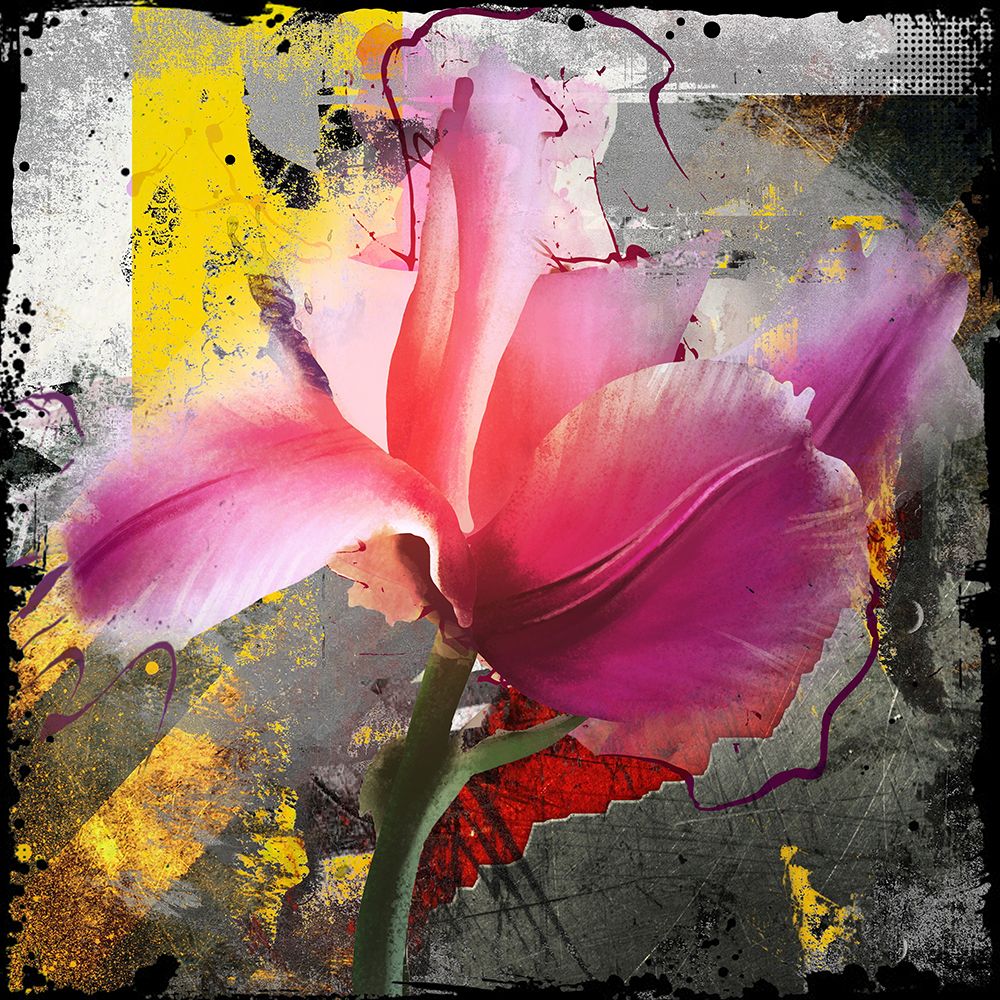 Pink Tulipa art print by Micha Baker for $57.95 CAD