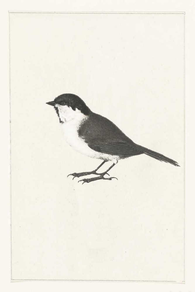 Birdy I art print by Anne Waltz for $57.95 CAD