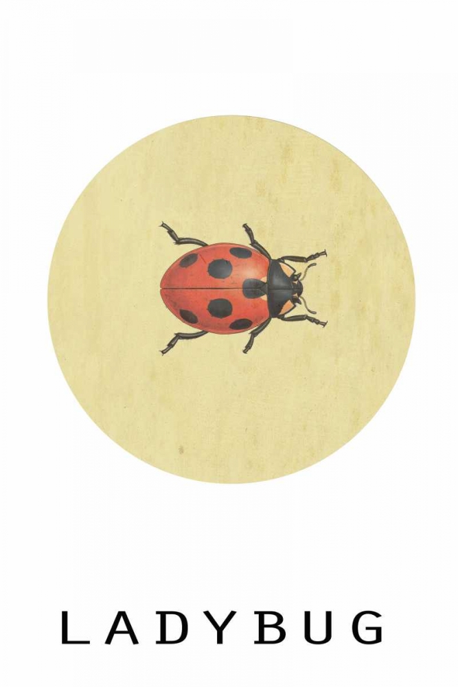 Ladybug art print by Anne Waltz for $57.95 CAD