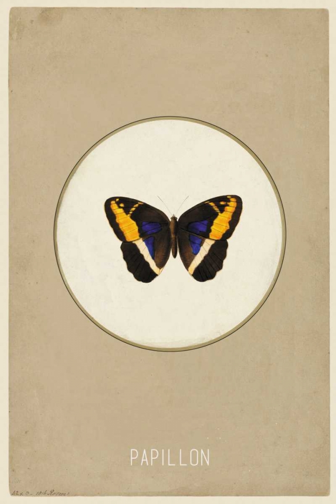 Papillion art print by Anne Waltz for $57.95 CAD