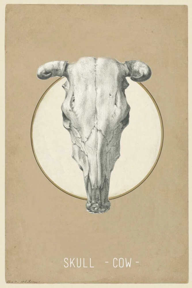 Skull art print by Anne Waltz for $57.95 CAD