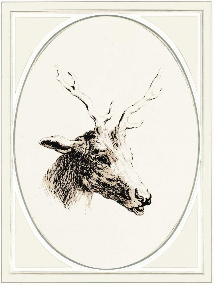 Deer I art print by Anne Waltz for $57.95 CAD