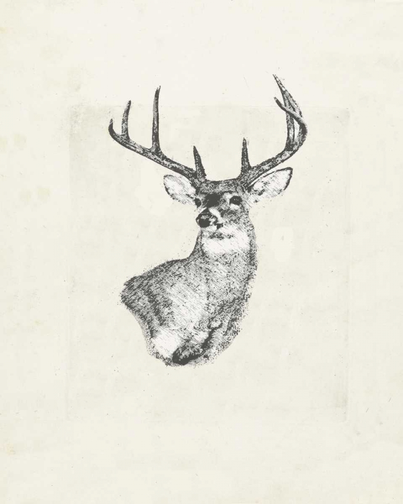 Deer wild I art print by Anne Waltz for $57.95 CAD