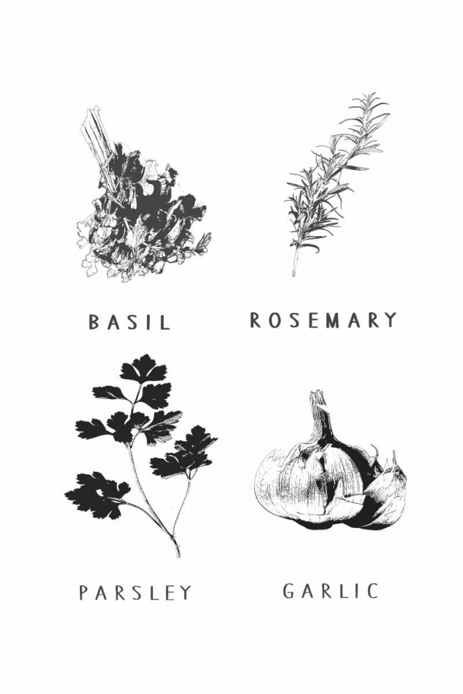 Kitchen herbs art print by Anne Waltz for $57.95 CAD
