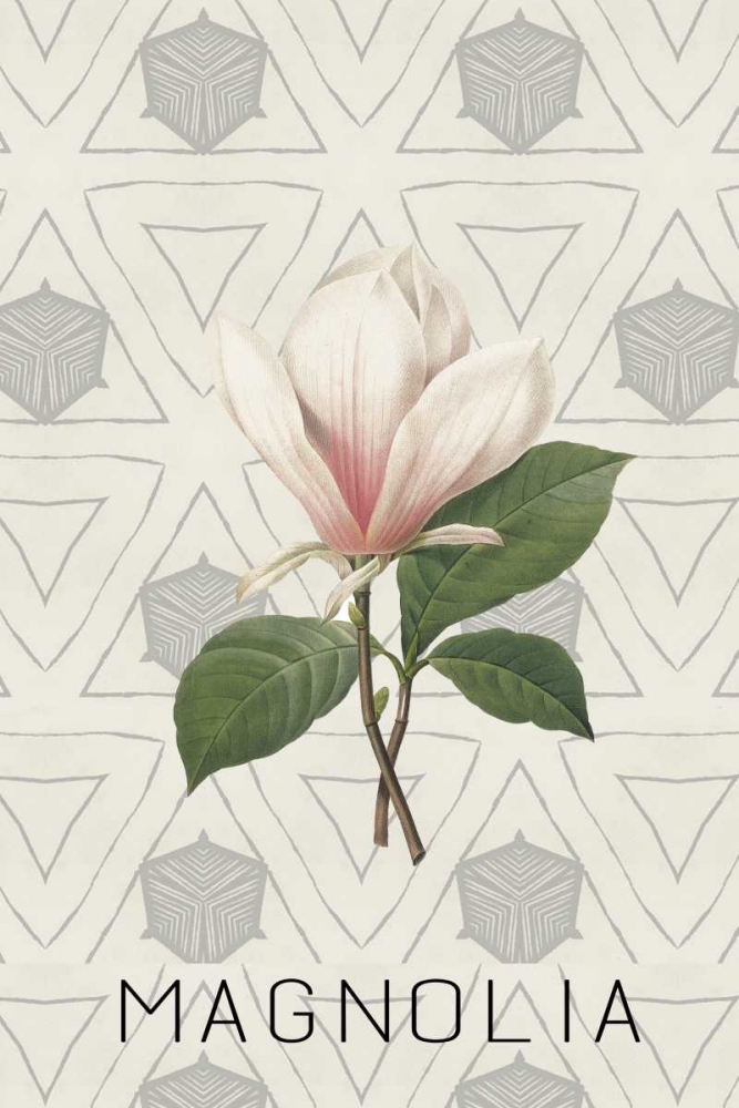 Magnolia I art print by Anne Waltz for $57.95 CAD