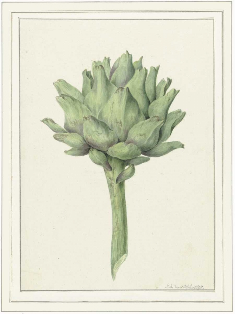 Classic veg art print by Anne Waltz for $57.95 CAD