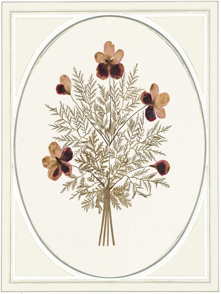 Gardenio II art print by Anne Waltz for $57.95 CAD