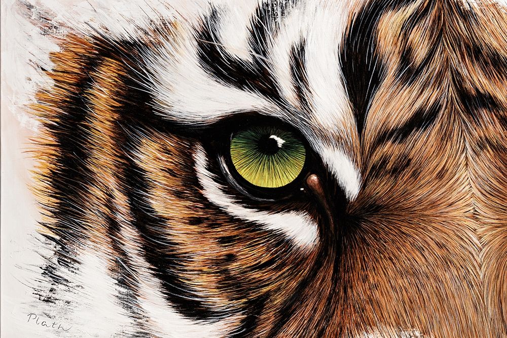 Tiger Augenblick art print by Jutta Plath for $57.95 CAD