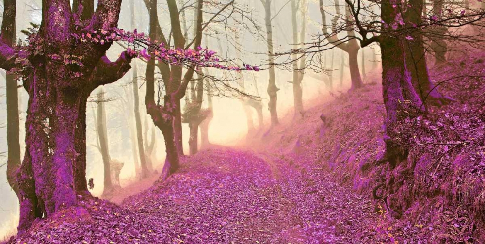 Forest in purple 827 art print by J.A. Palacios for $57.95 CAD