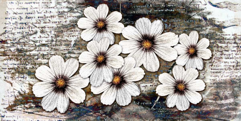 Marguerite art print by Susan P. Willow for $57.95 CAD