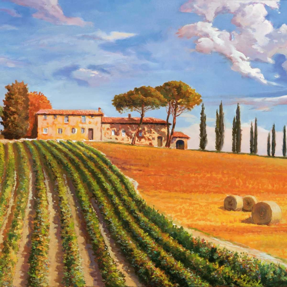 Colline toscane art print by Adriano Galasso for $57.95 CAD