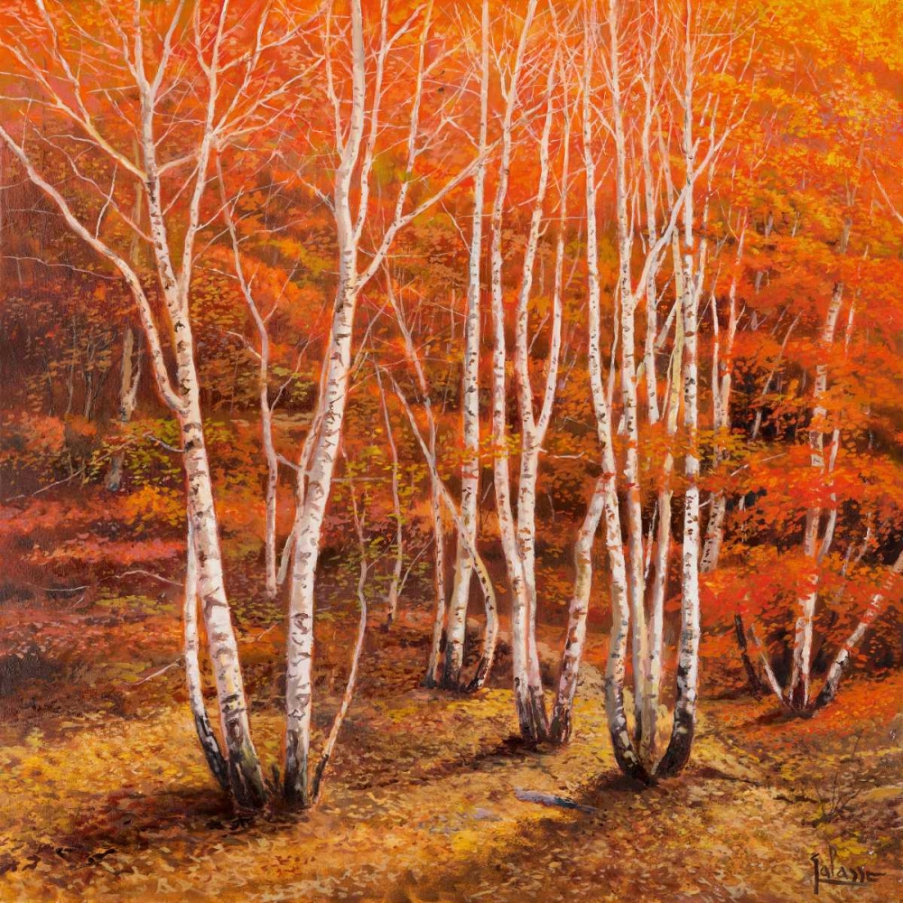 Bosco di betulle II art print by Adriano Galasso for $57.95 CAD