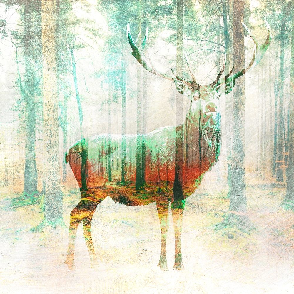 Lord of the Woods (detail) art print by Arlo Wren Photos for $57.95 CAD