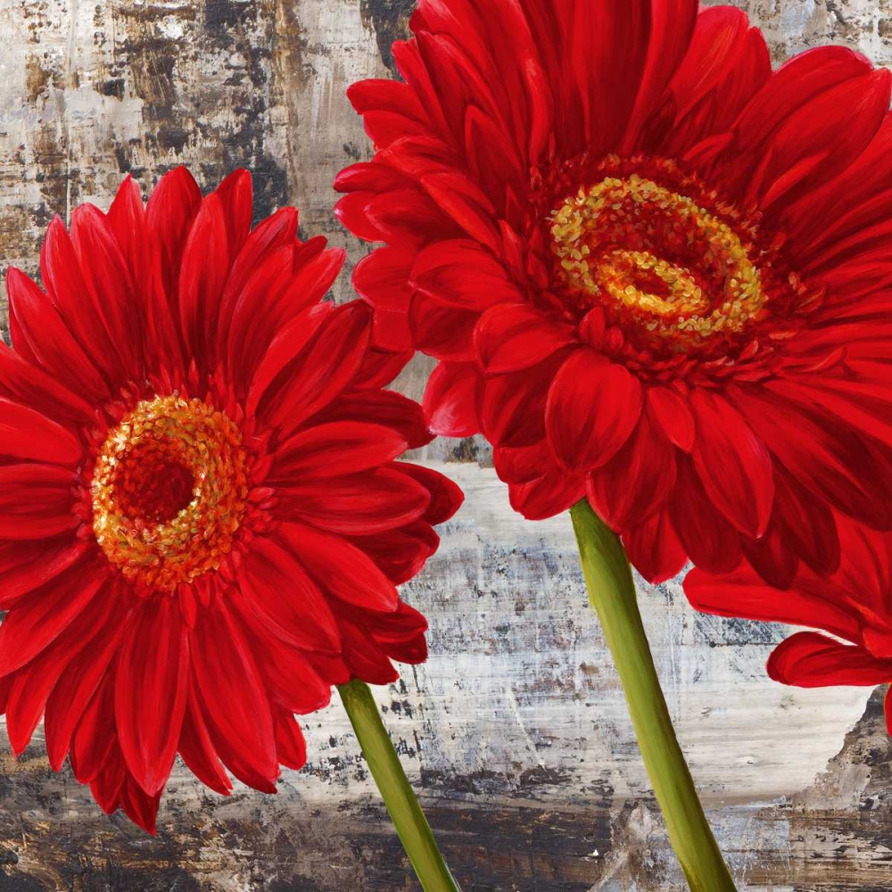 Red Gerberas I art print by Jenny Thomlinson for $57.95 CAD