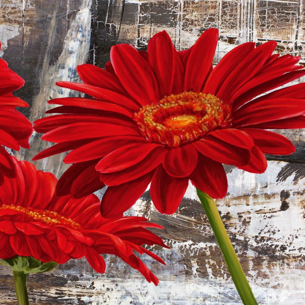 Red Gerberas II art print by Jenny Thomlinson for $57.95 CAD