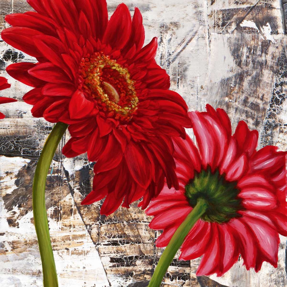Red Gerberas III art print by Jenny Thomlinson for $57.95 CAD