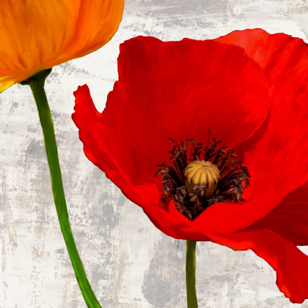 Summer Poppies I art print by Jenny Thomlinson for $57.95 CAD