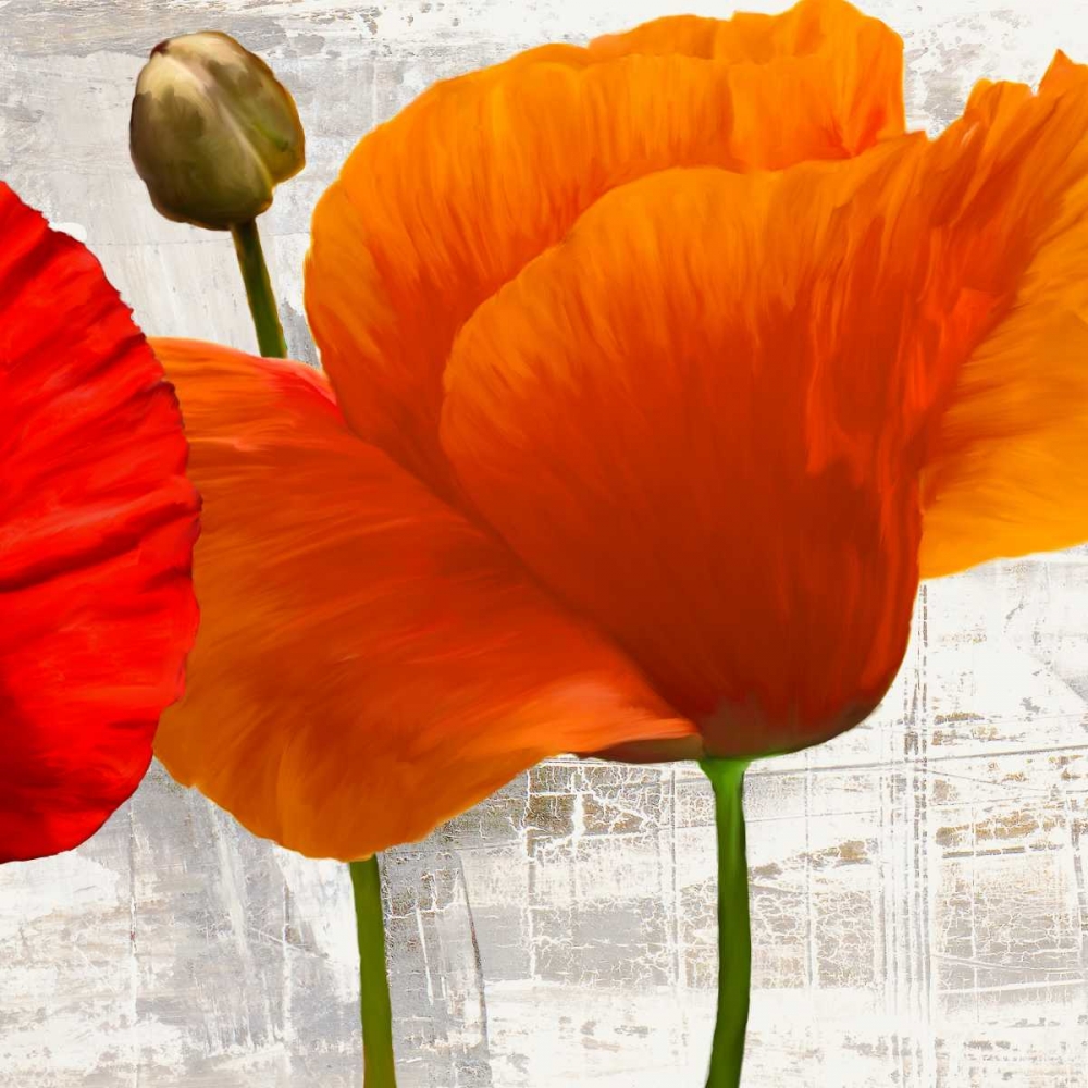 Summer Poppies II art print by Jenny Thomlinson for $57.95 CAD