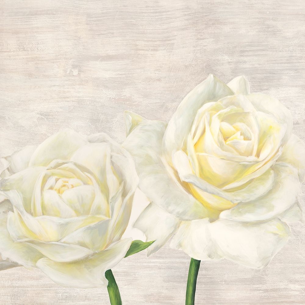 Classic Roses I art print by Jenny Thomlinson for $57.95 CAD