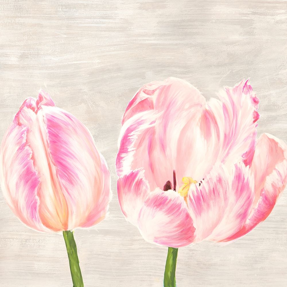 Classic Tulips I art print by Jenny Thomlinson for $57.95 CAD