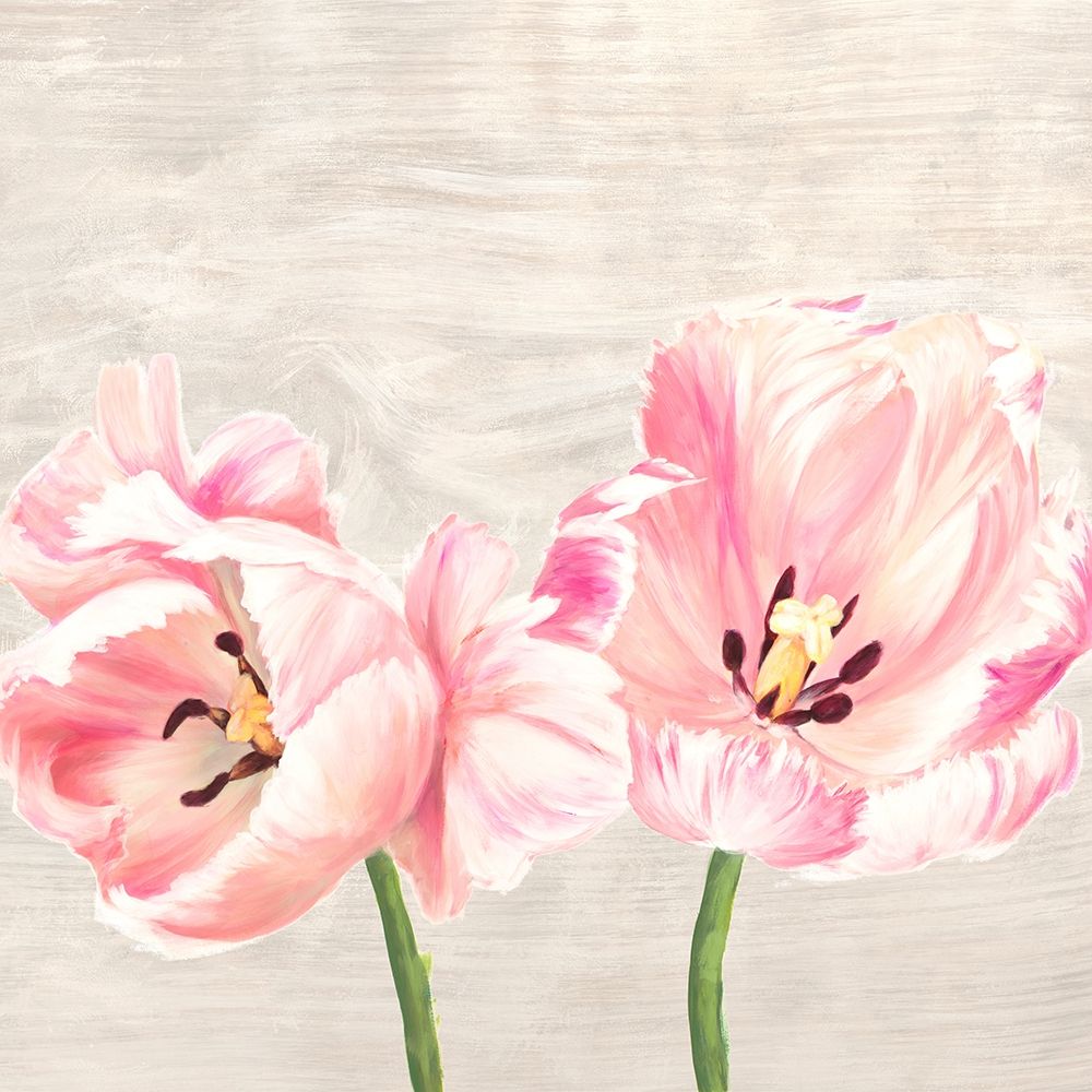 Classic Tulips II art print by Jenny Thomlinson for $57.95 CAD